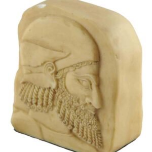Merchant Head