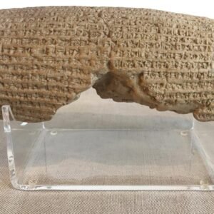 Cyrus Cylinder
